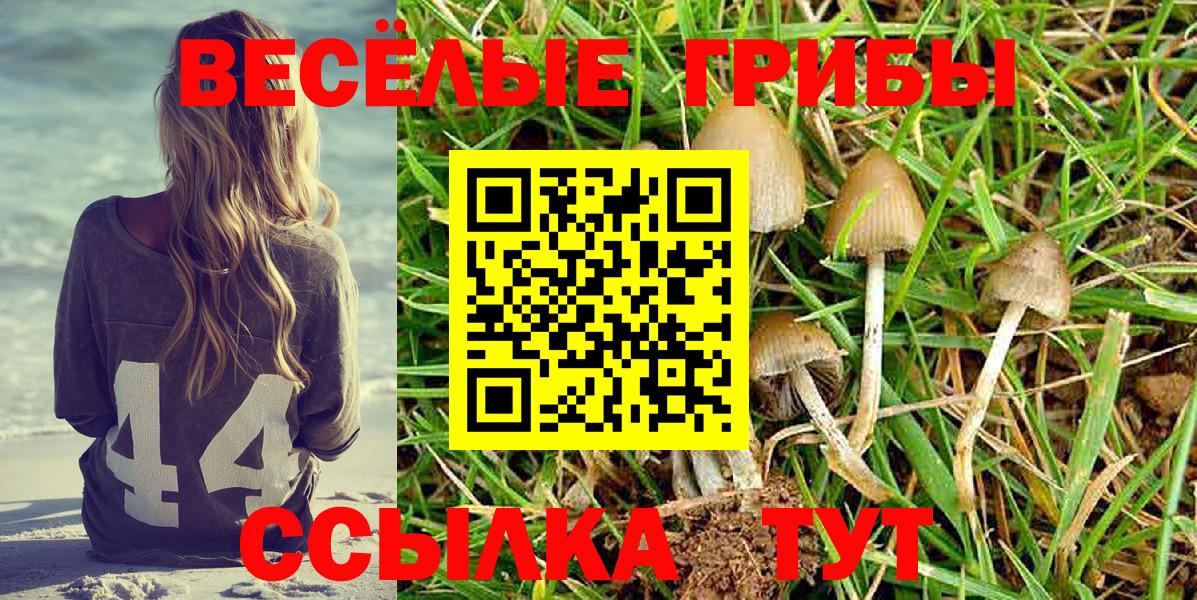 Галлюциногенные грибы MAGIC MUSHROOMS Сибай