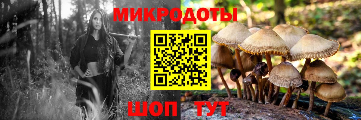 Галлюциногенные грибы прущие грибы  Вход с VPN  Галлюциногенные грибы GOLDEN TEACHER  Сибай 